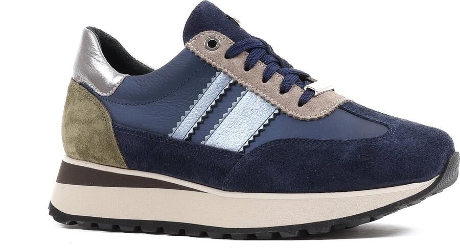 Footnotes blauwmulti