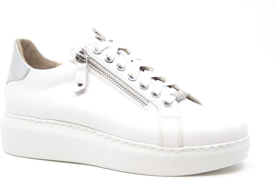 Footnotes CIARA Wijdte H