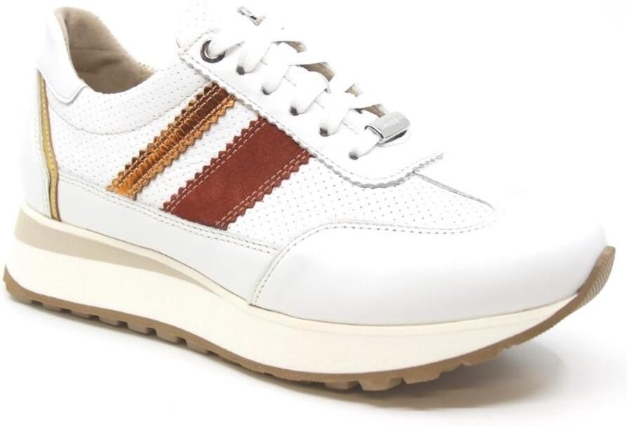 Footnotes ERIKA Wijdte K