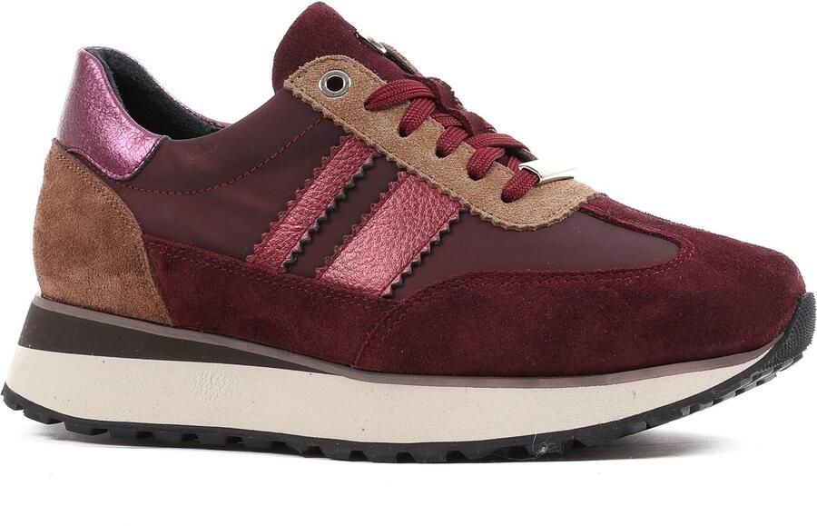 Footnotes KRISS-K bordeaux