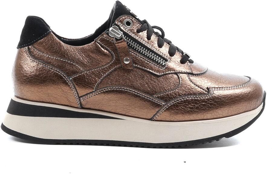 Footnotes HILDA-H brons