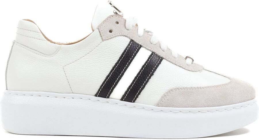 Footnotes MADDY H witmulti