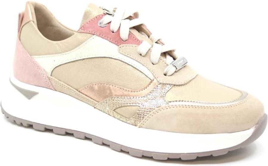 Footnotes SILKE Wijdte H