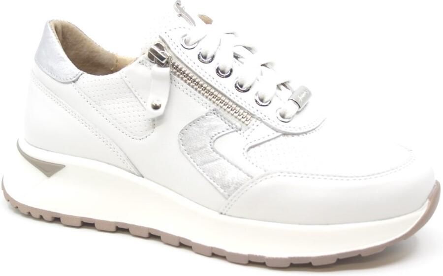 Footnotes SOFIE Wijdte K