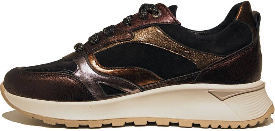 Footnotes Onika Brons