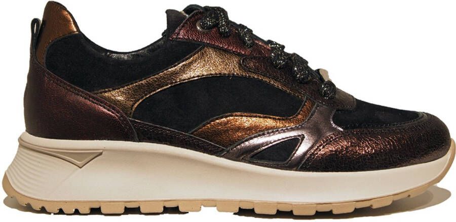 Footnotes Onika Brons