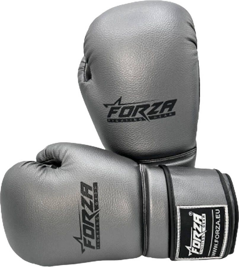 Forza Fighting artificial 75 leren bokshandschoenen in de kleur zilver