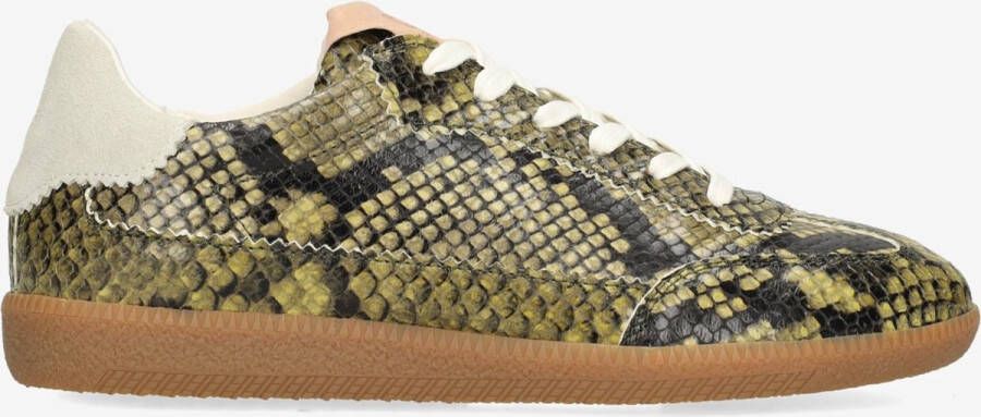 Fred de la Bretoniere Sneaker Pearl Lux Snake Groen