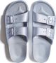 Freedom Moses 4891541 Fancy Slides Q1 - Thumbnail 1