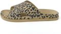 Freedom Moses Slippers X LEO KHAKI - Beige