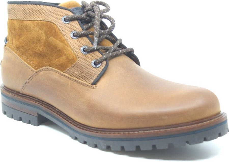 Gaastra Ankle Boot Bootie Male Cogna Laarzen