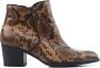 Gabor Whisky Bruine Reptiel Look Enkellaars Multicolor Dames - Thumbnail 1