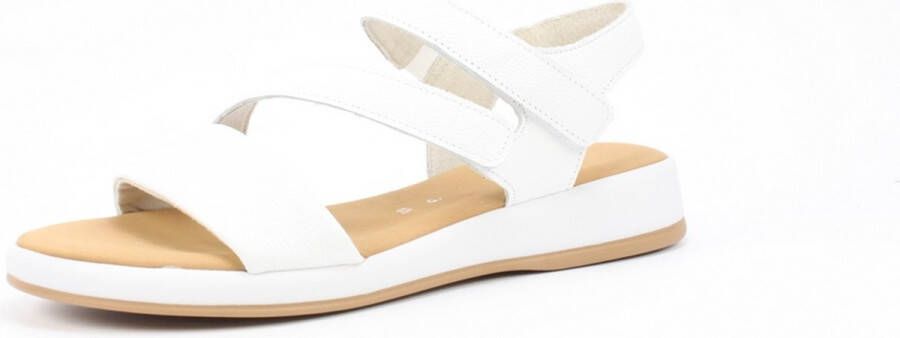 Gabor 42.063.50 WIT