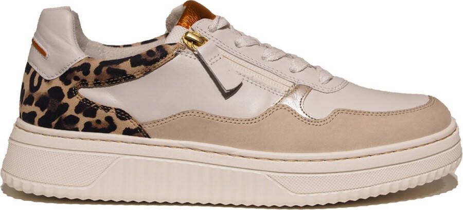 Gabor Plateausneakers vrijetijdsschoen halfschoen veterschoen met contrastafwerking breedte k - Foto 2