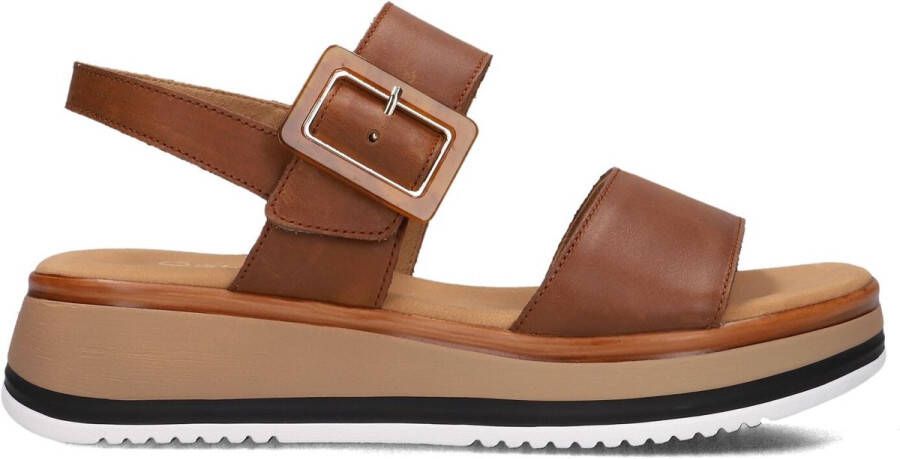 Gabor 744 Sandalen Dames Bruin