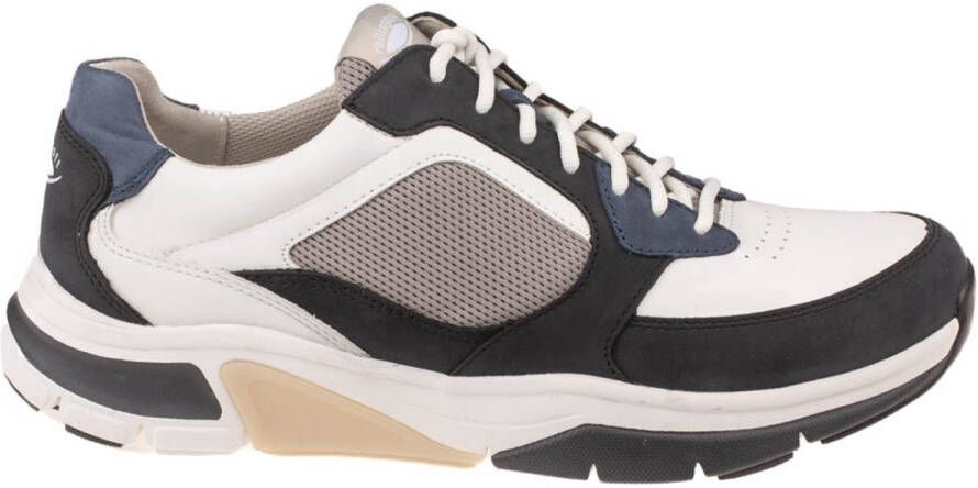 Gabor 8009 herensneaker