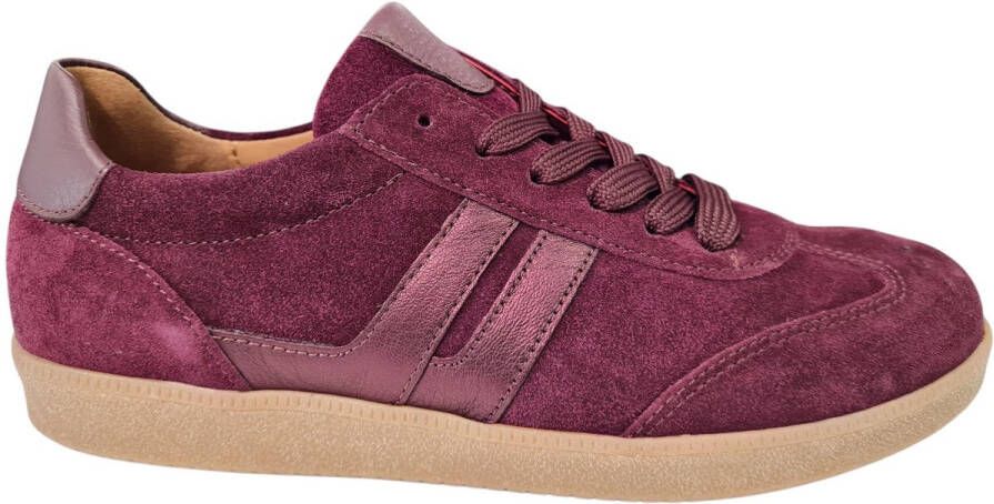 Gabor Plateausneakers vrijetijdsschoen halfschoen veterschoen met gepolsterde schacht