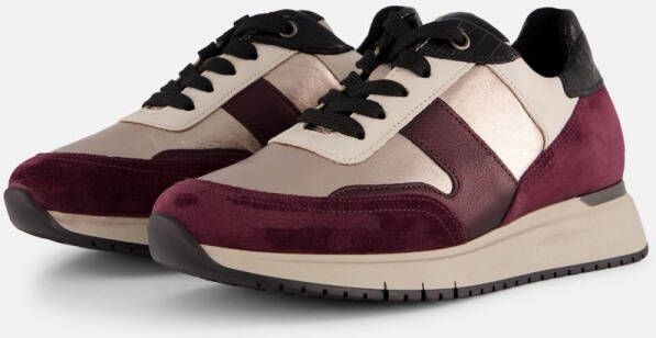 Gabor 76.445.95 mutaro mulberry Multi