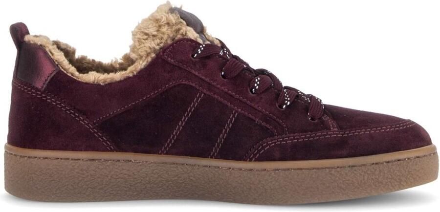 Gabor 6024.01.005 dames sneaker Paars