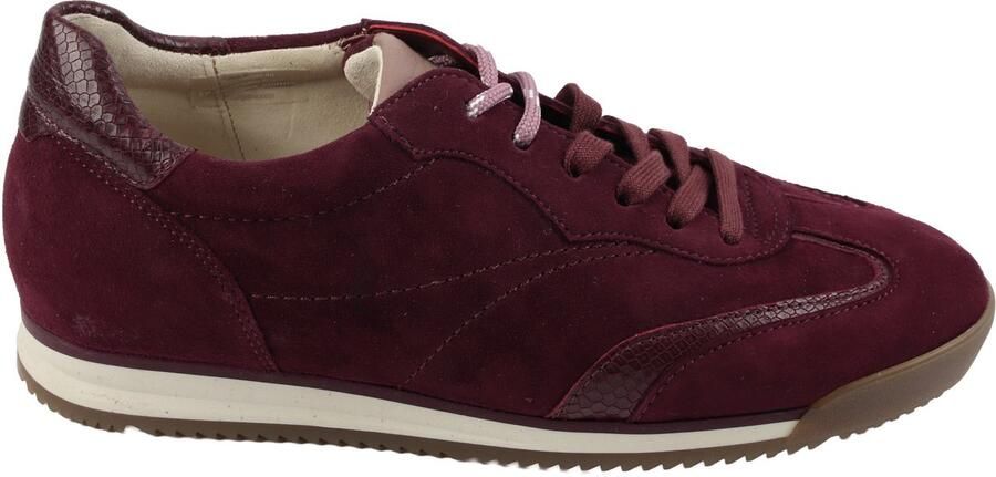 Gabor 6025 Sneakers bordo