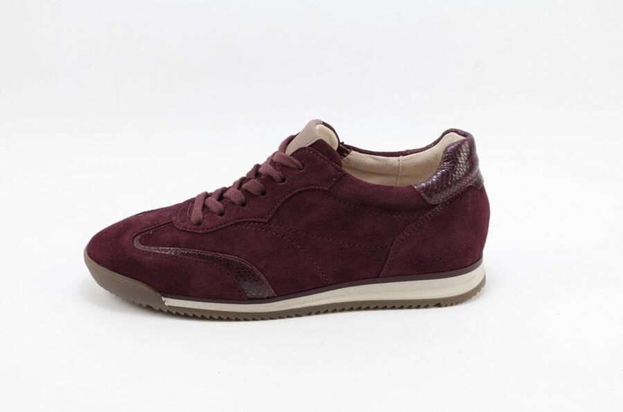 Gabor 6025.02.002 Sneakers Bordo