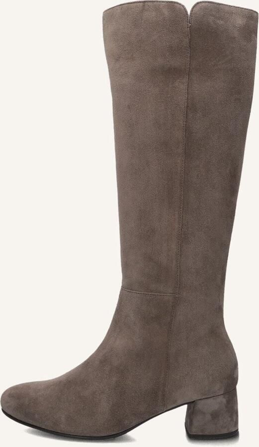 Gabor 689 Laarzen Suède Dames Taupe - Foto 6