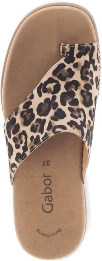 Gabor 83.700.32 Dames Slippers beige