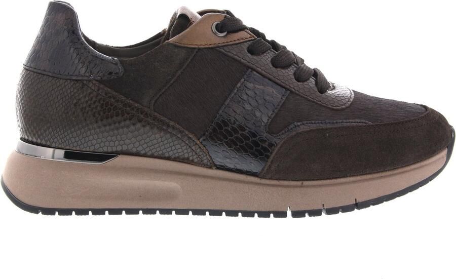 Gabor Dames Sneakers 6022.01.006 Donkerbruin - Foto 1