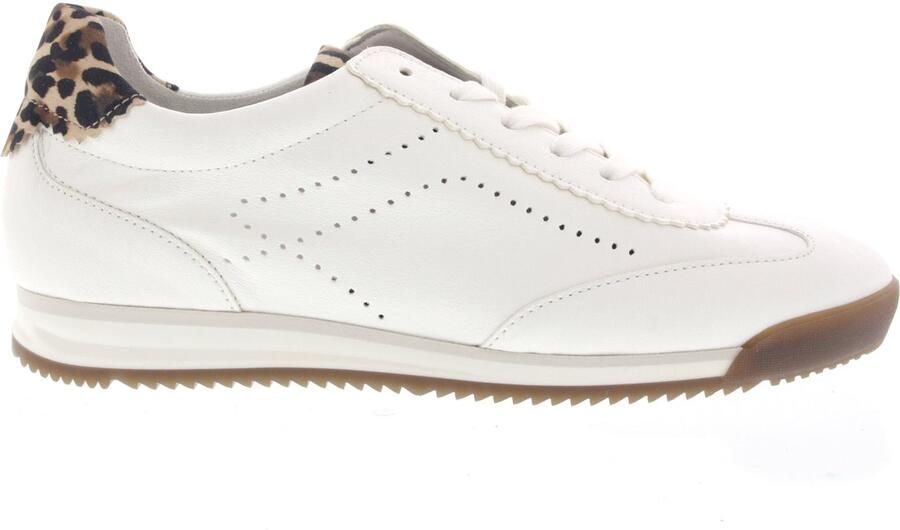 Gabor Dames Sneakers 83.432.20 Off White