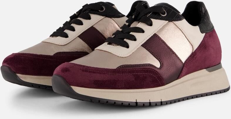 Gabor Comfort Optifit dames sneaker Bordo - Foto 2