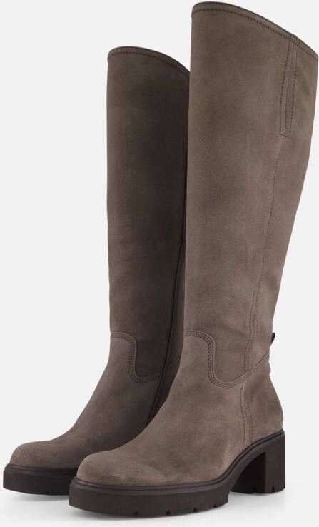 Gabor Hoge laarzen taupe Suede Dames