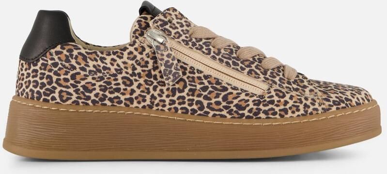 Gabor Leopard Sneakers beige Synthetisch Dames - Foto 3