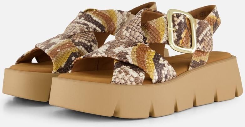 Gabor sandalen Python Synthetisch