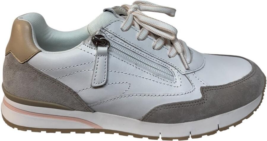 Gabor Merhottein BV Gabor