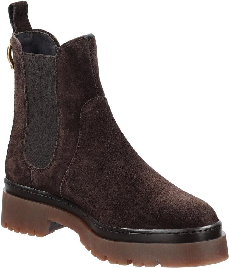 Gant ALIGREY Donkerbruin FW Chelsea Boots Brown