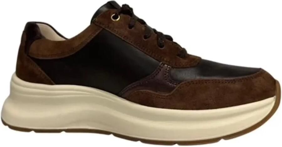 Ganter Kimespresso brons sneaker K Kleur Bruin)