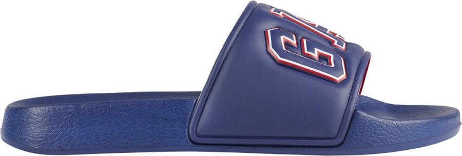 Gap Flip-Flop Slide Female Navy Slippers