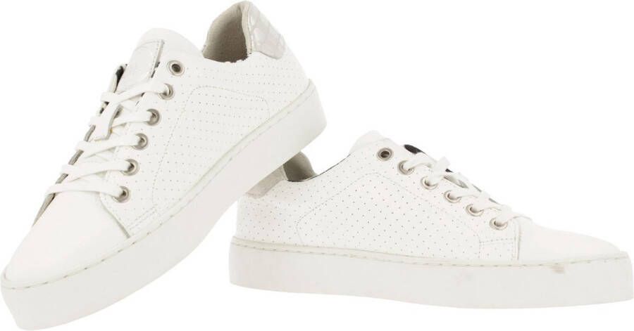 Geographical Norway Bullboxer 962065e5l_ Sneaker Women White - Foto 4