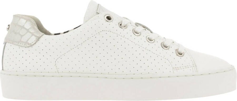 Geographical Norway Bullboxer 962065e5l_ Sneaker Women White - Foto 6