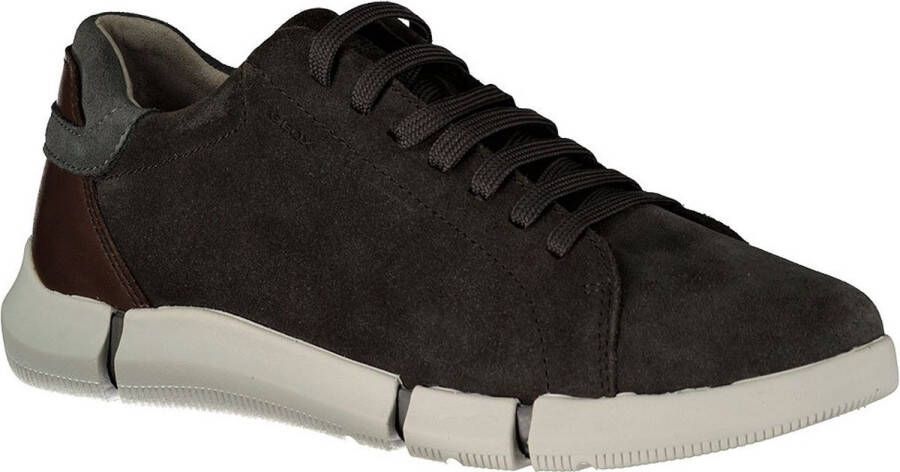 GEOX Adacter Sneakers Bruin Man
