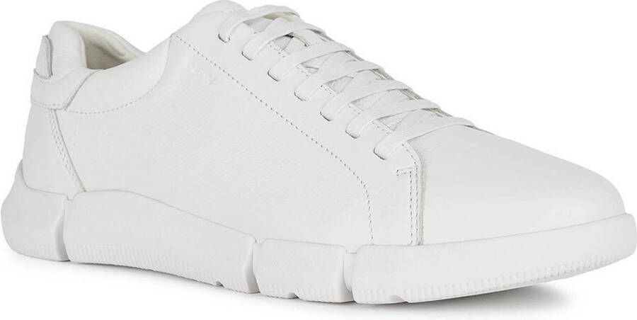 Geox Stijlvolle Sneakers voor Actieve Levensstijl White Heren
