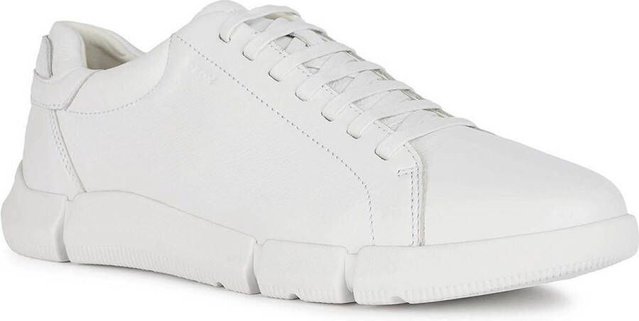 Geox Sneakers met labeldetail model 'ADACTER'