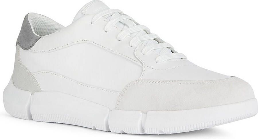 Geox Witte Sneakers voor Mannen White Heren