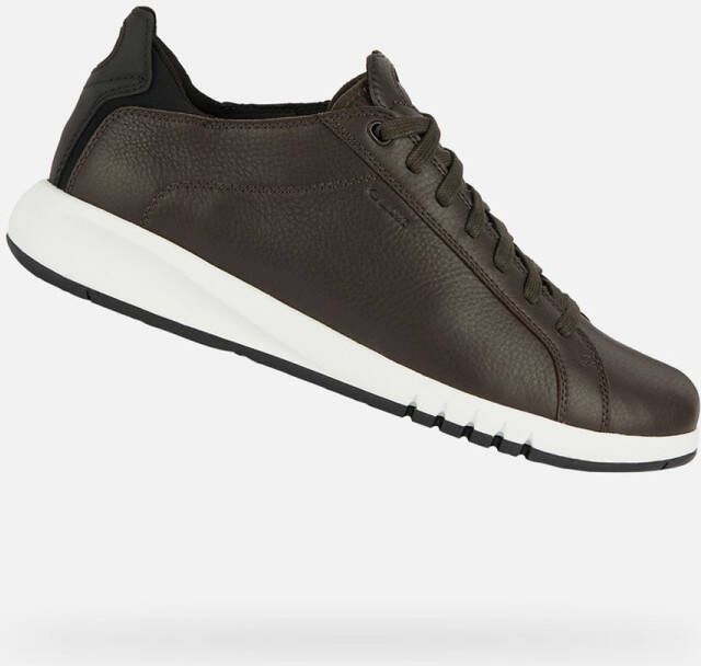 GEOX AERANTIS HEREN Sneakers KOFFIEKL ZWART