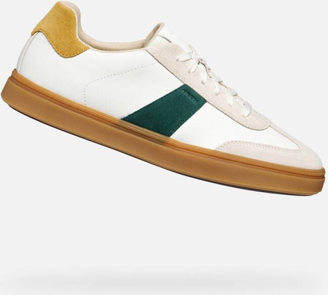 GEOX BALTMOORE HEREN Sneakers WIT GROEN