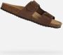 GEOX BRIONIA DAMES Sandalen KOFFIEKLEUR - Thumbnail 3