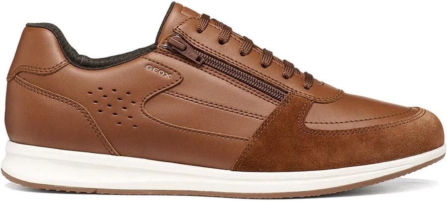 GEOX Avery A Schoenen Bruin Man