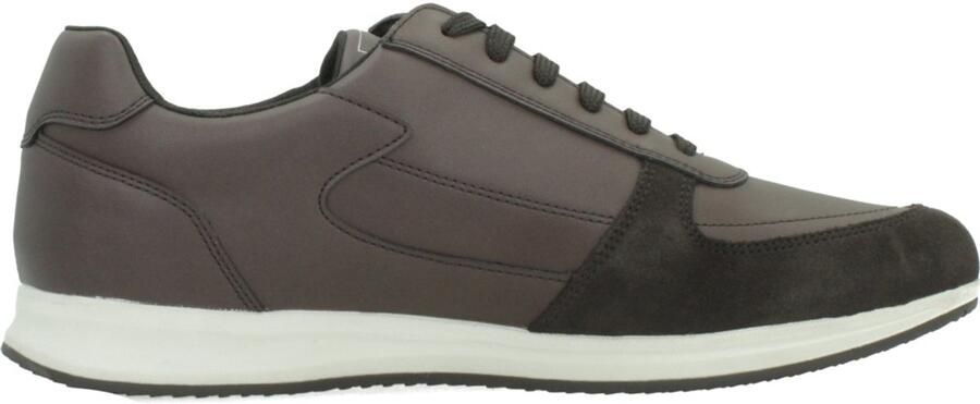GEOX Avery A Schoenen Bruin Man
