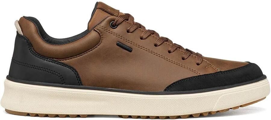 GEOX Cenisio Abx B Schoenen Bruin Man - Foto 1