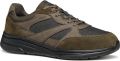 GEOX Klaiver Schoenen Bruin Man - Bruin